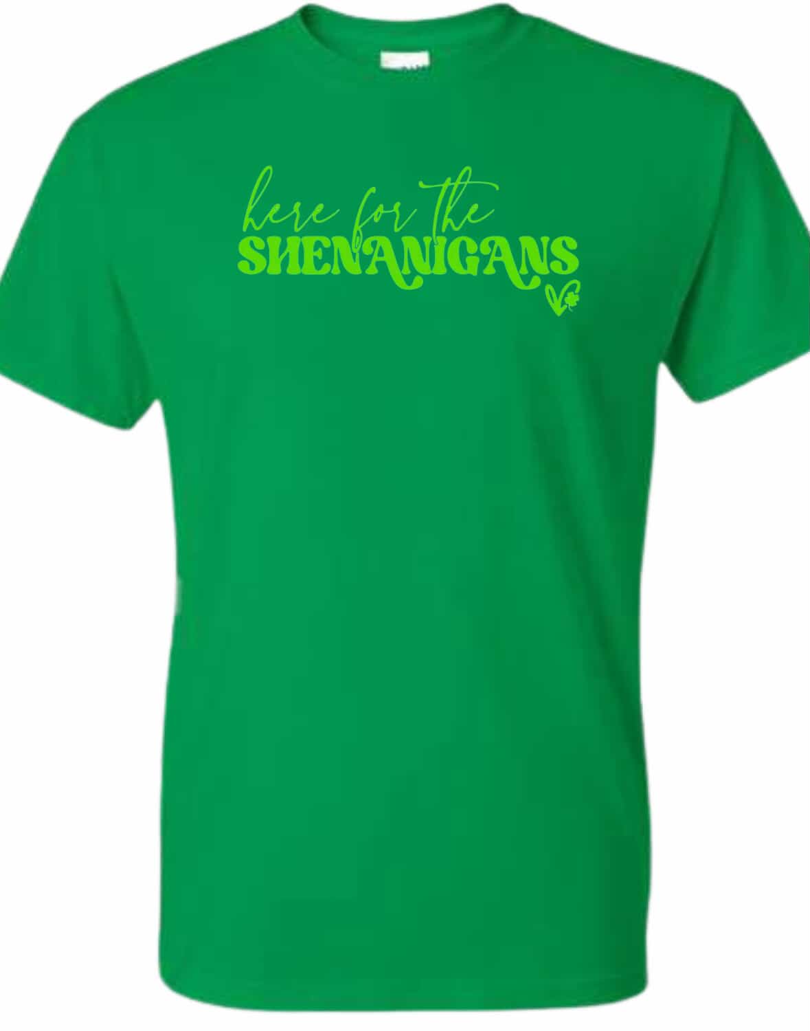 Here for the Shenanigans - t-shirt